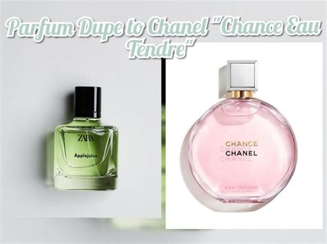 chanel chance eau tendre duftbeschreibung|Chanel chance dupe zara.